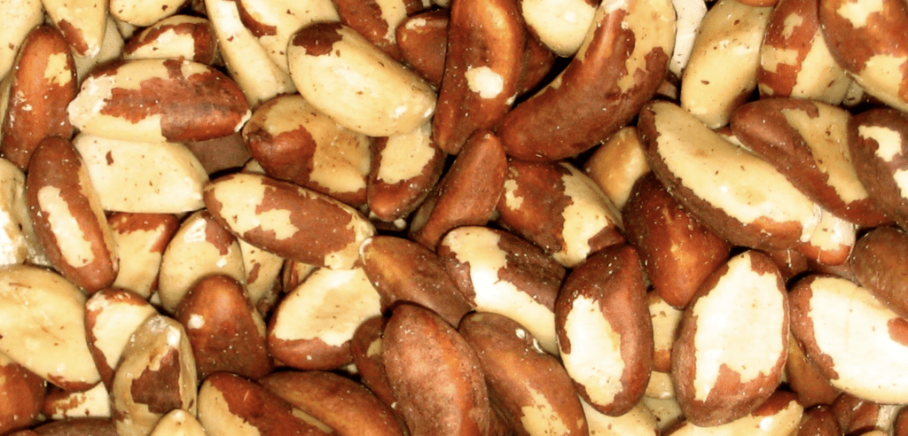 Brazil Nuts